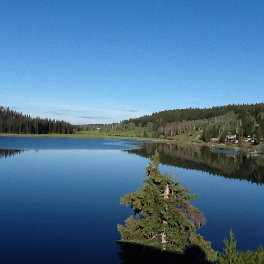 Lac Le Jeune Nature Resort Logan Lake Esterno foto