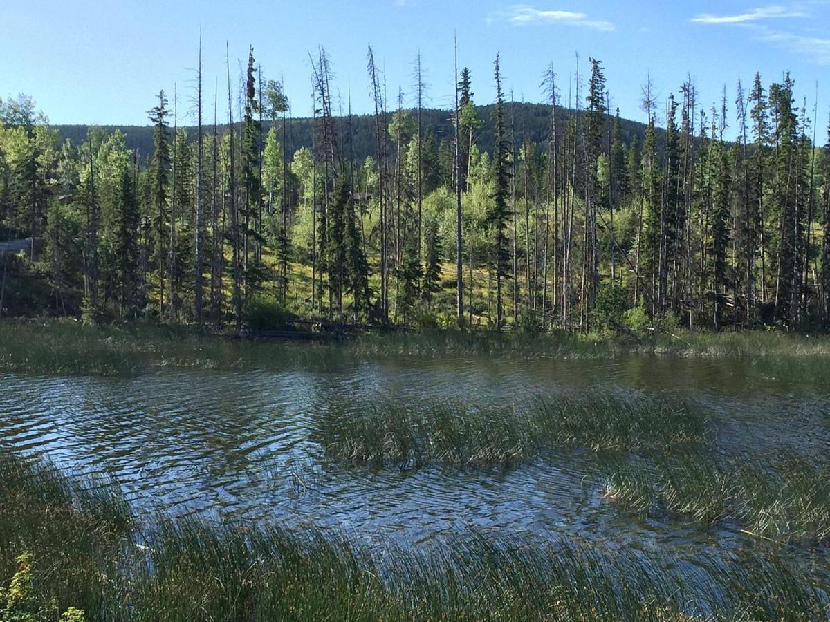 Lac Le Jeune Nature Resort Logan Lake Esterno foto