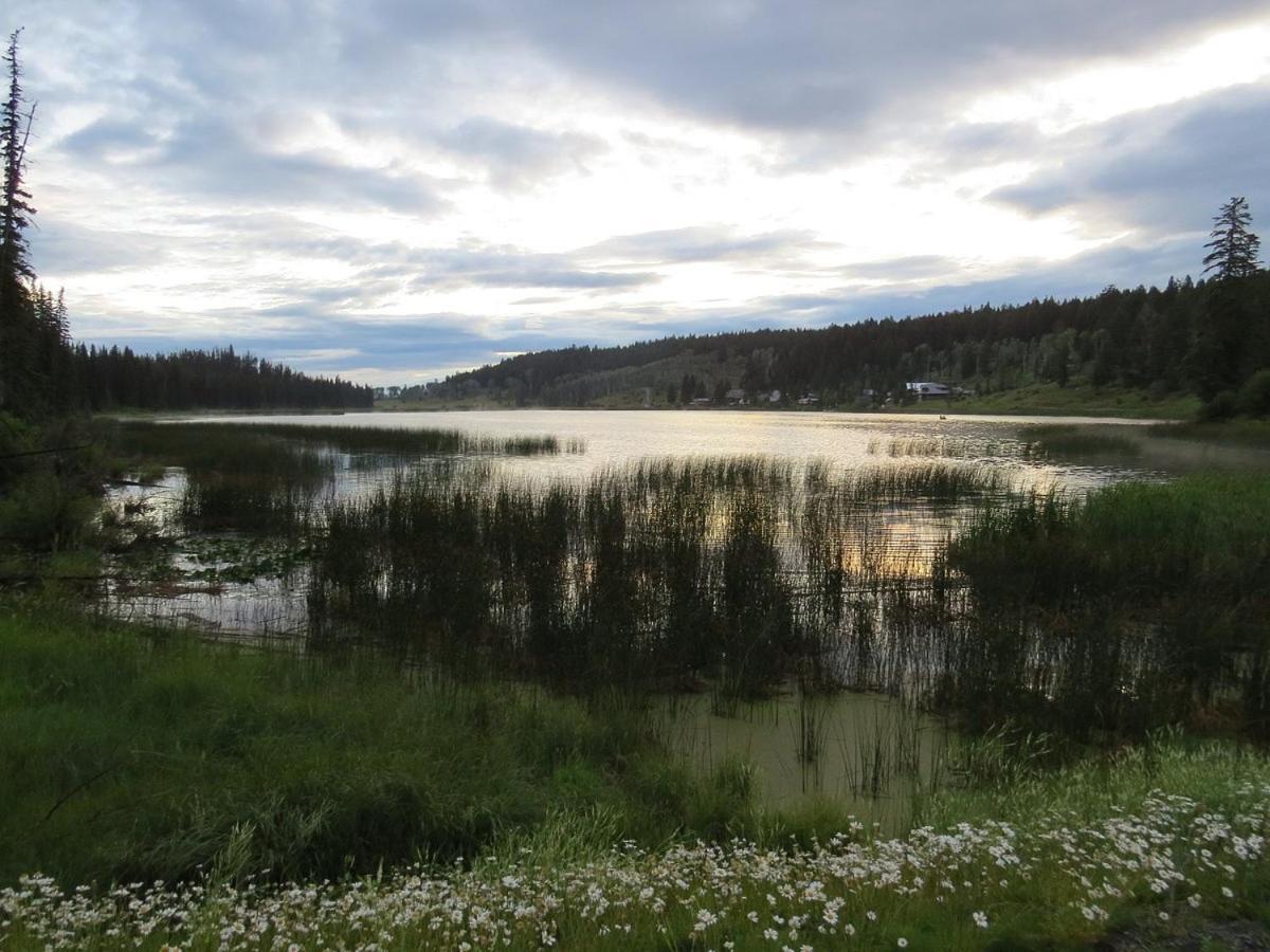 Lac Le Jeune Nature Resort Logan Lake Esterno foto