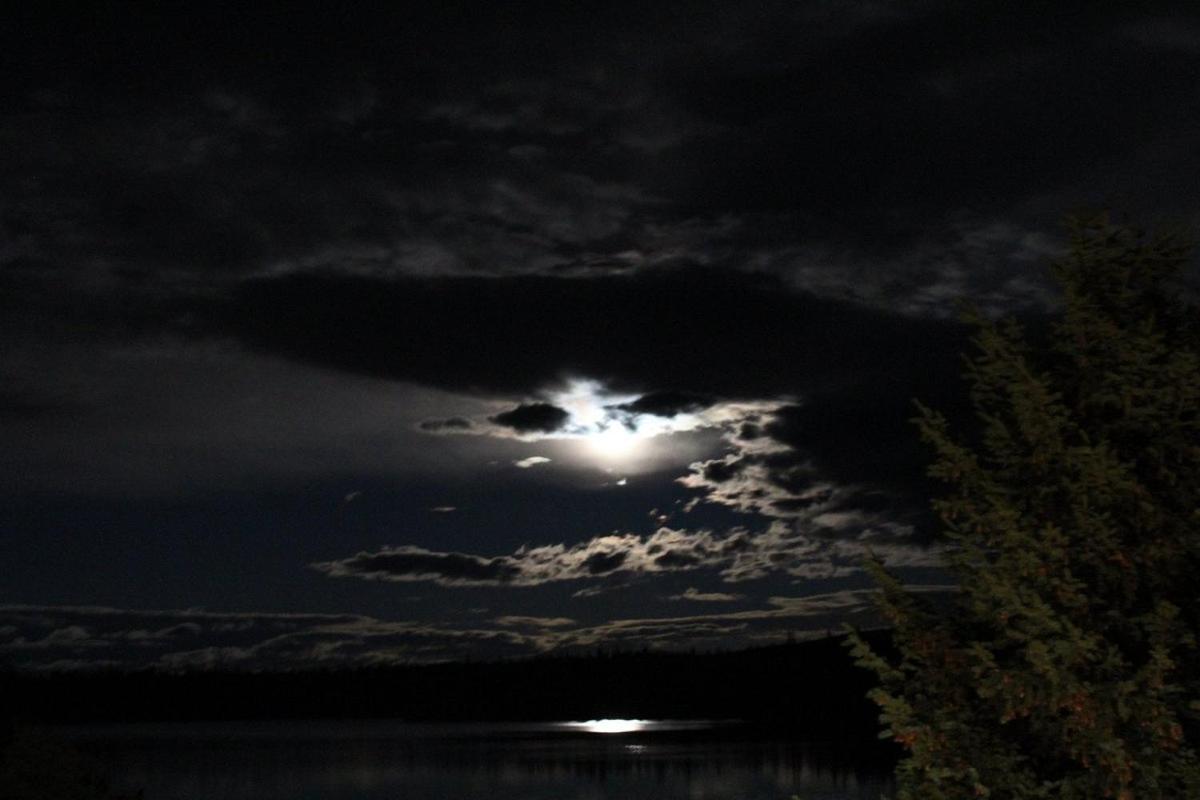 Lac Le Jeune Nature Resort Logan Lake Esterno foto