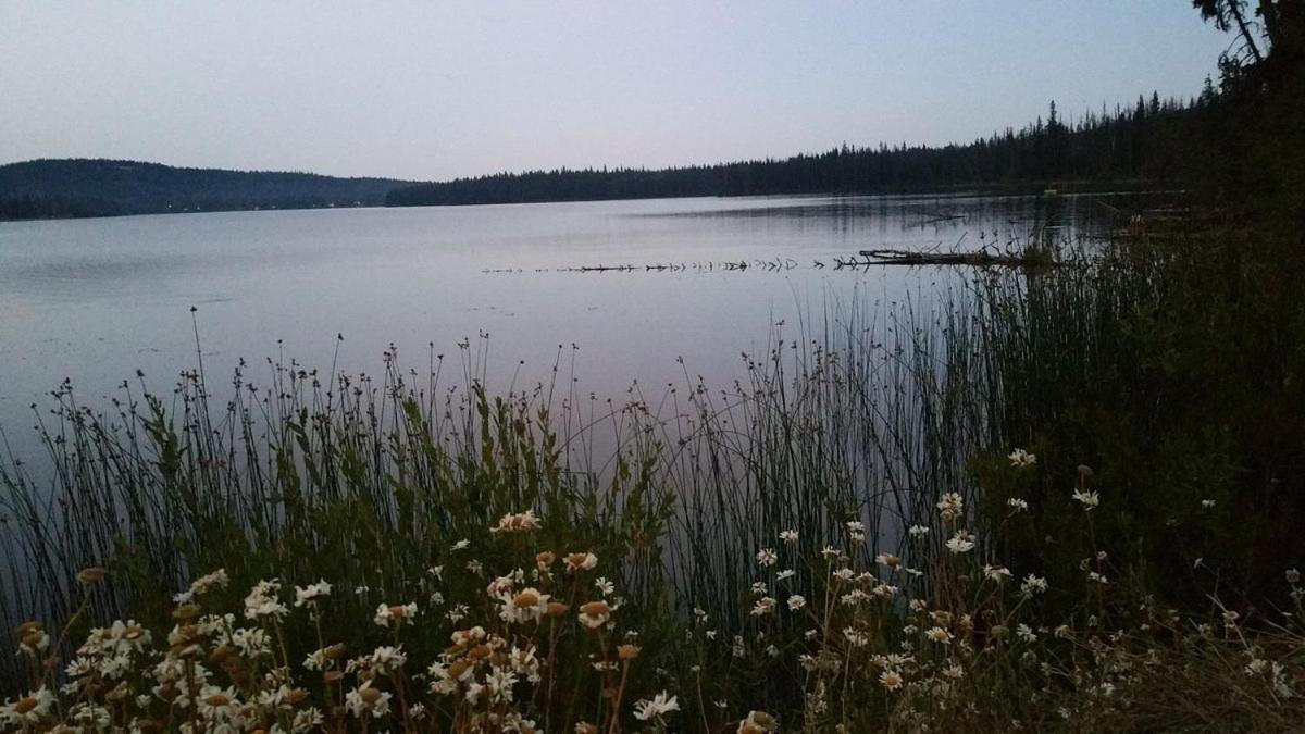 Lac Le Jeune Nature Resort Logan Lake Esterno foto